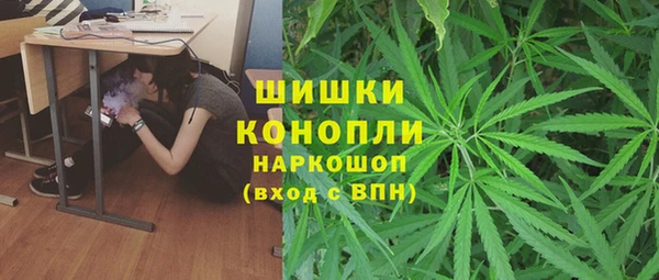 ГАЛЛЮЦИНОГЕННЫЕ ГРИБЫ Уссурийск