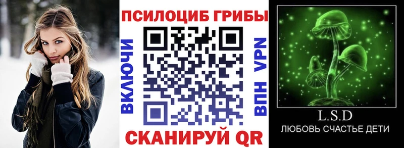 где купить наркотик  Борзя  Галлюциногенные грибы прущие грибы 