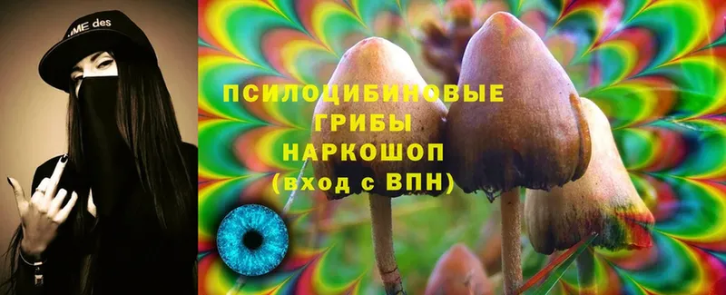 купить закладку  Борзя  Псилоцибиновые грибы Cubensis 