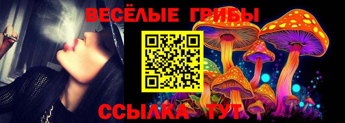 где можно купить наркотик  Вход с VPN  Борзя  Псилоцибиновые грибы прущие грибы 